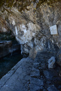 Kephalobryso-(12)