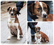 Be-Funky-collage-24.jpg&key=61d69f4b2908