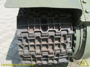 IMG-5625