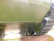 DSCN5245