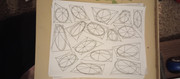IMG-20231122-191030058