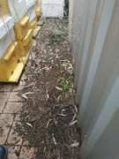 photo_2021-07-28_08-31-38