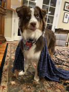 2C44FCEF-D065-4FB9-857A-011C1B8DB19B