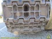 IMG-5515