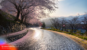 reflect-1