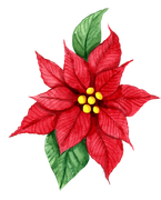 BC-Xmas-In-The-Wood-Elem-23