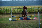 DSC-9447