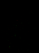 202601_diff_vf_2g