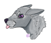 Untitled399 20250209141942