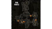 Paw-Prints