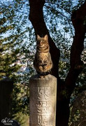 Cuatro días en Estambul - Blogs de Turquia - Día 2 Estambul (3)