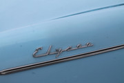 IMG-4690.jpg