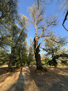 IMG-6343