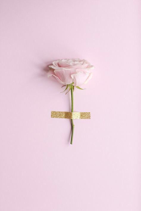 pink-taped-rose.jpg