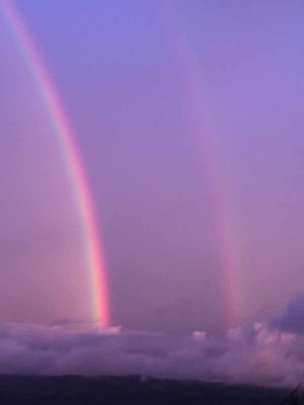 B2A2C61A-F1E4-40F7-B497-BE2E843E1CF5