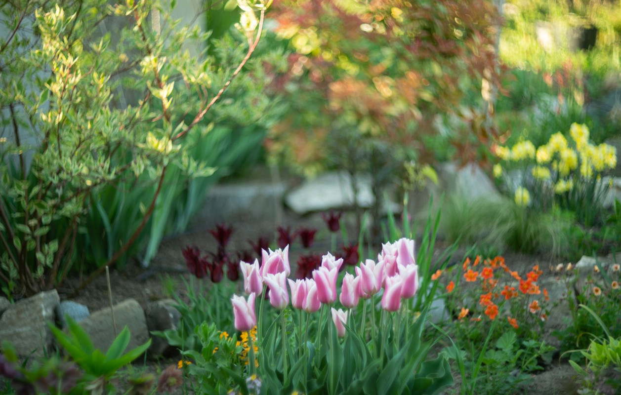 IMG-78ed6ffed995b37855c361fcfb36473b-V