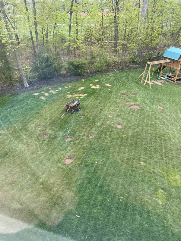 3367ADC2-99A3-446C-A2A2-A8EBE40DC6CD