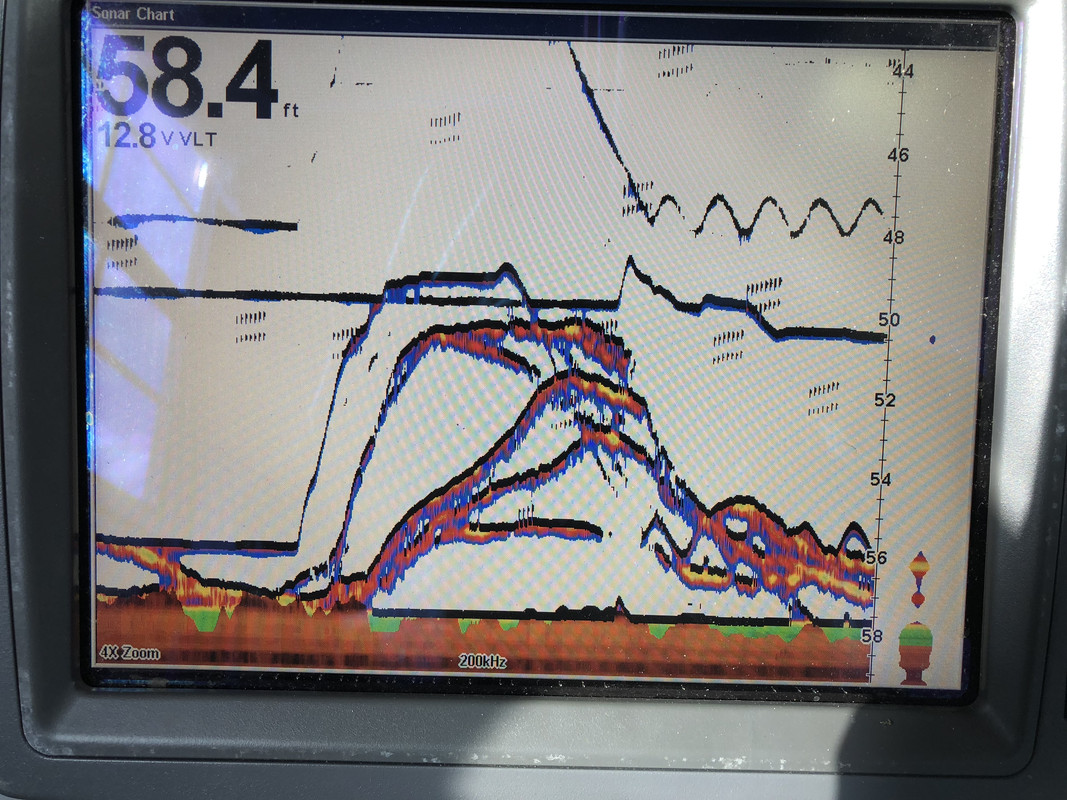 401FE607-2FF9-4640-B8DE-DB5EDE62B071