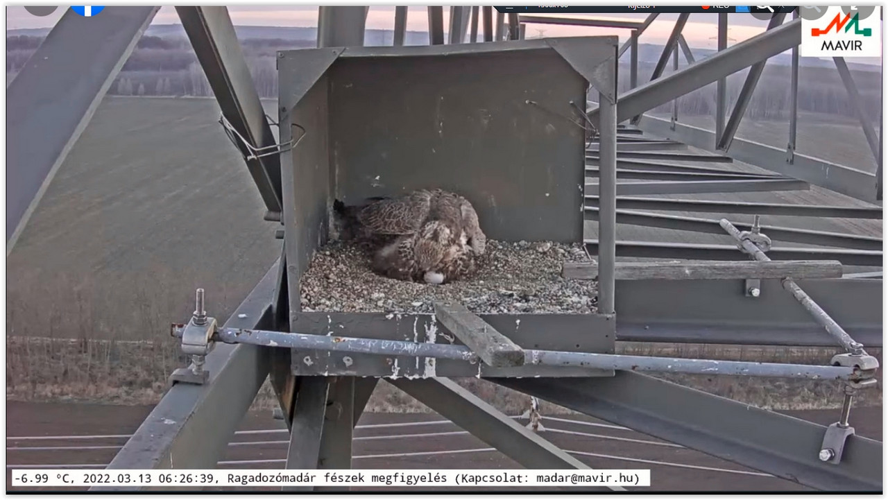 Screen Shot 03-13-22 at 09.34 AM