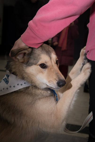 8051E8FB-56C1-4769-A460-1E3F4407B841