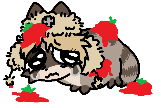 Mapache llorando iii Mapache llorando iii