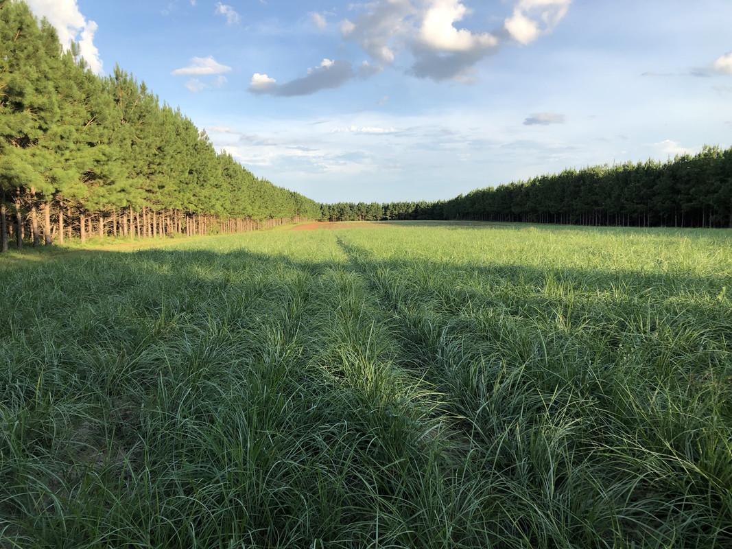 720AE105-5FAE-417B-87E9-FF87B5609447