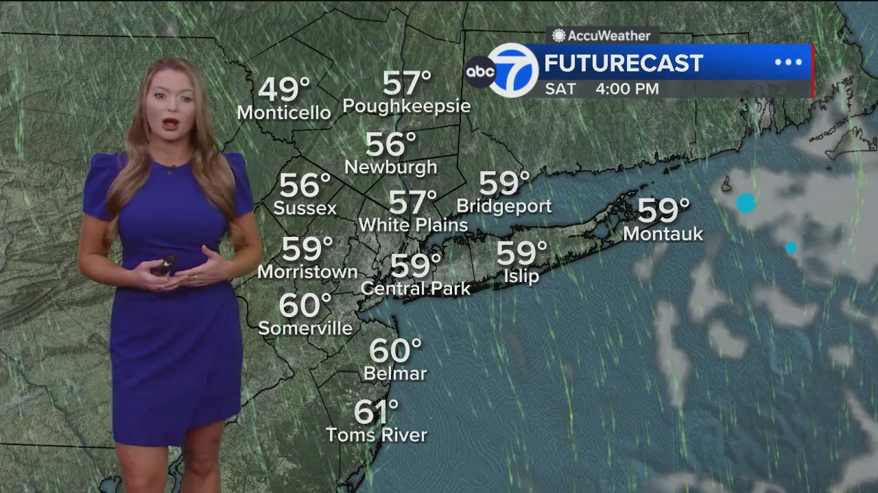 Eyewitness News Mornings at 10_20241101_14001500.ts_snapshot_18.53.448