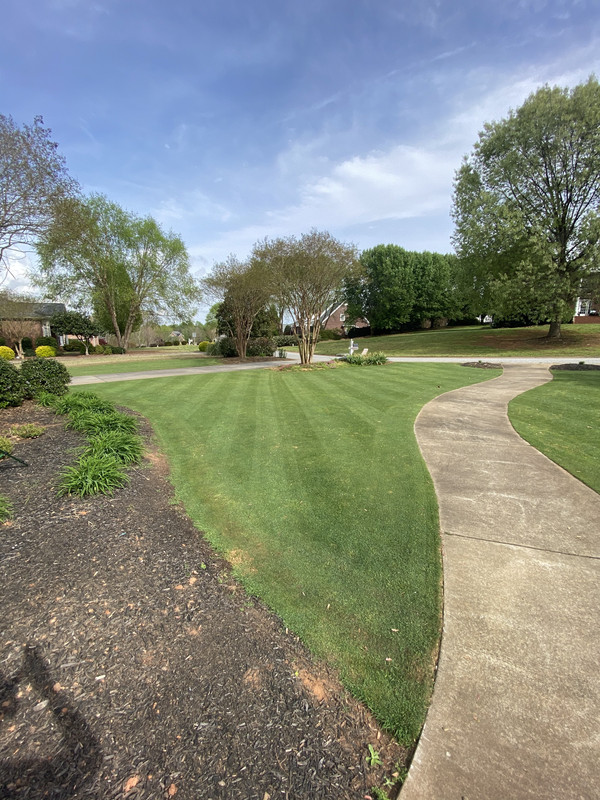Trimec bentgrass formula
