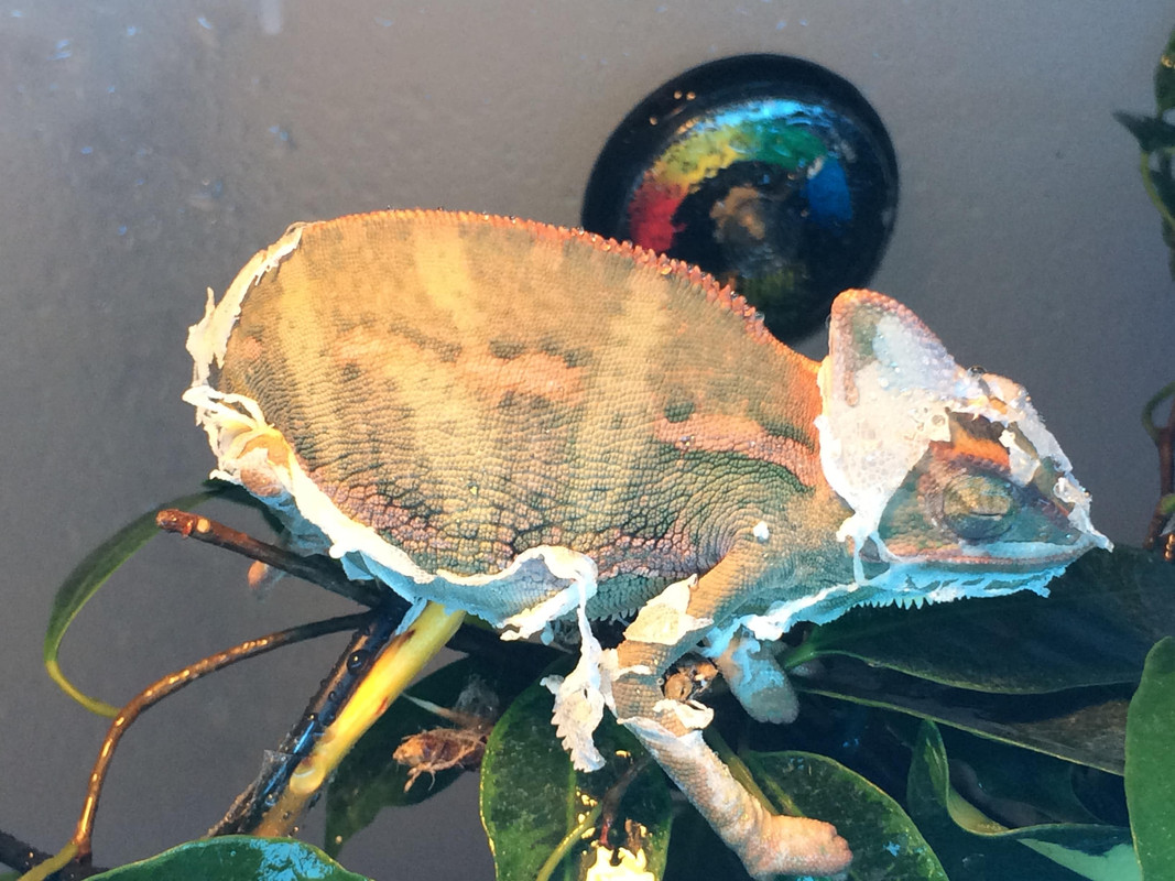 A472BD23-43F4-4FDA-91FC-4164E782CC6D