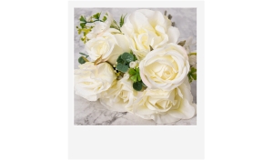 Ramo de Rosas Blancas