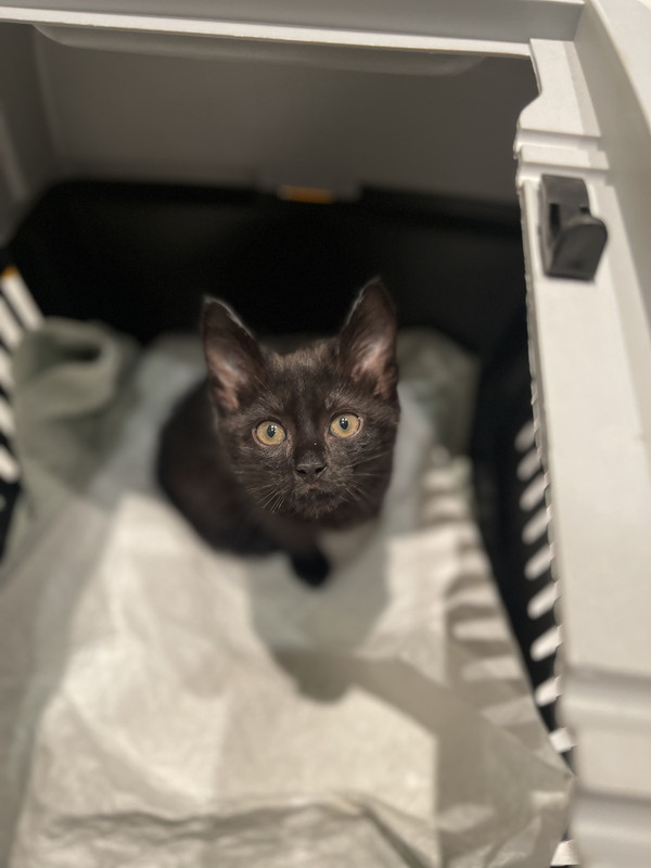 ABE567E0-98A4-4256-8A64-9AC0A801CDBB