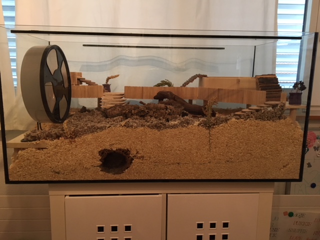 Huisvesting hamsters (dubbele kooi?) - Hamsterforum