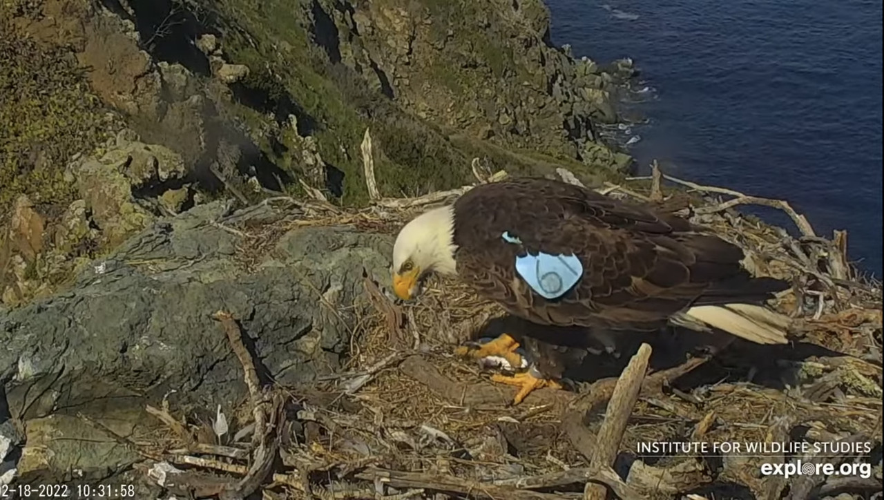 D80A2E6F-3303-45AC-9AE3-A59AE9A264BD