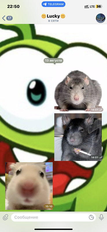 IMG-8508.png