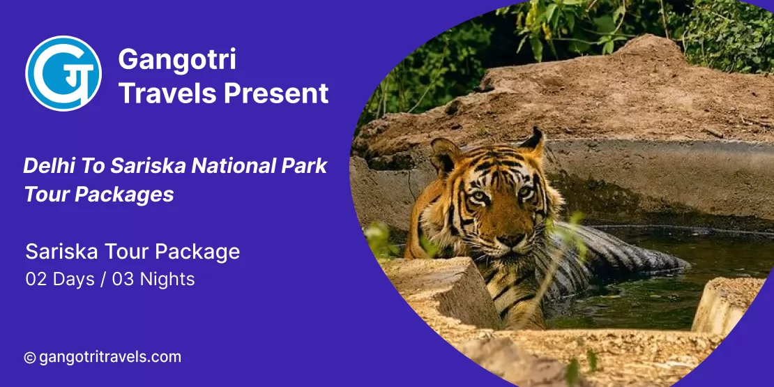 Best Tour and Travel Agency for Delhi to Sariska National Park Tour package