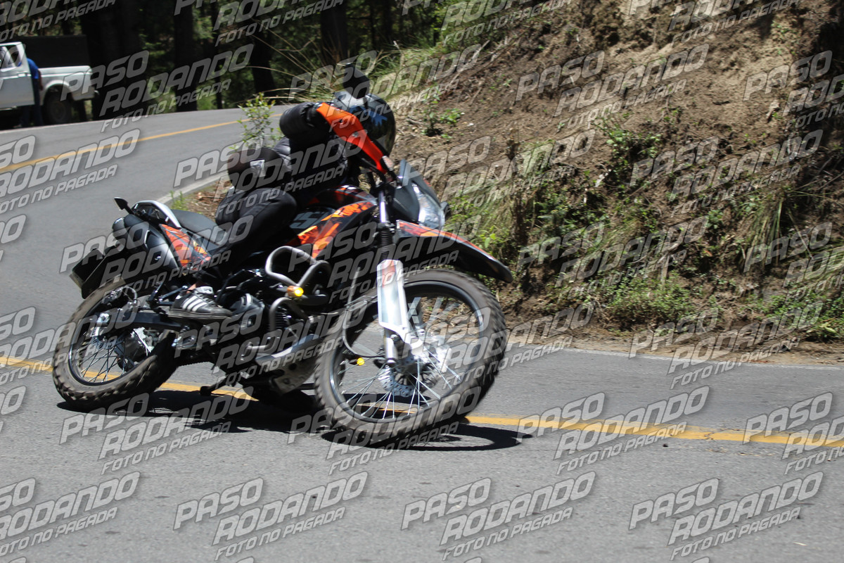 IMG 8762 wm 7224155 4 watermarked — Postimages