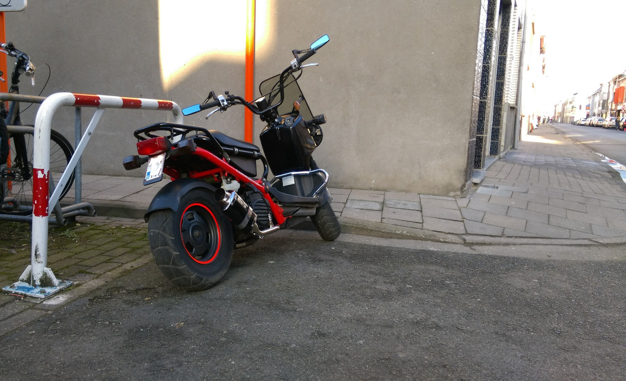 IMAG0362-LI.jpg