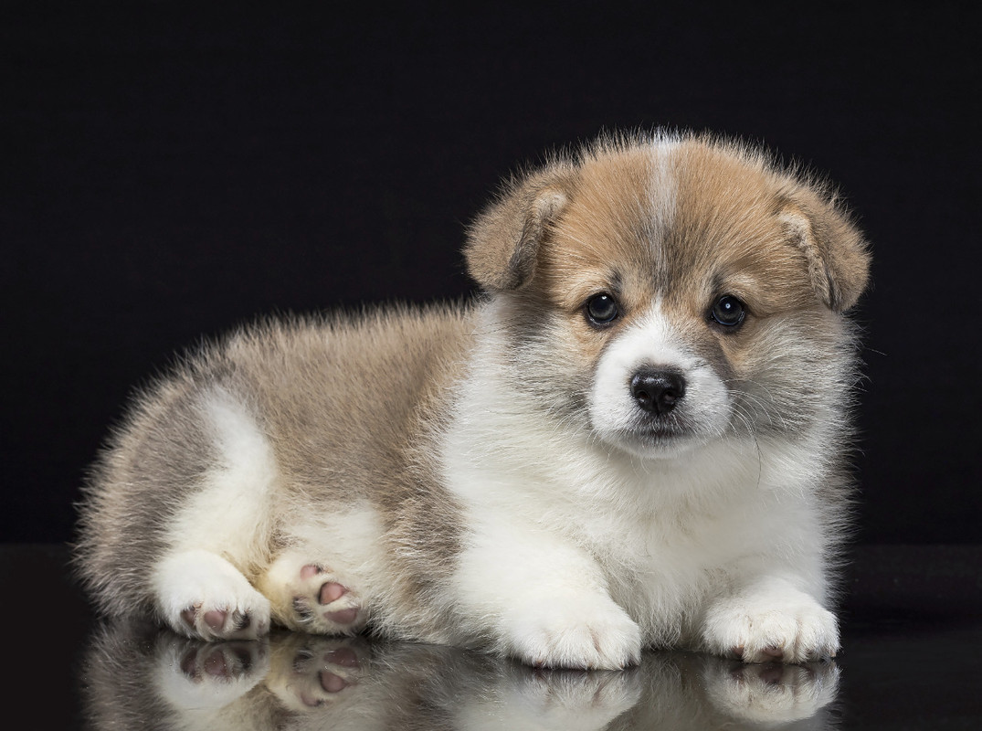 4D085CC9-7F02-4FD6-A65B-86C09B93EFE6