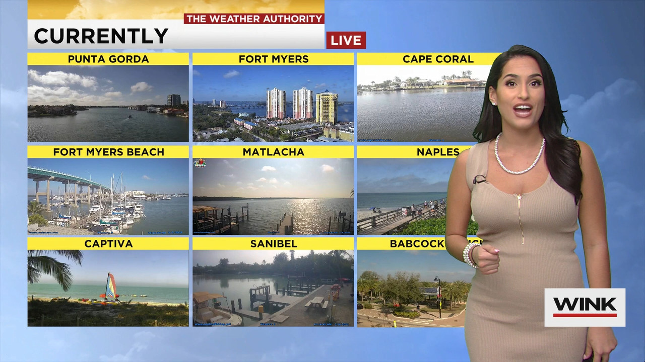 02.09 - 15.00.00 - WINK News at 10 00 a.m..ts_snapshot_00.15.58.736