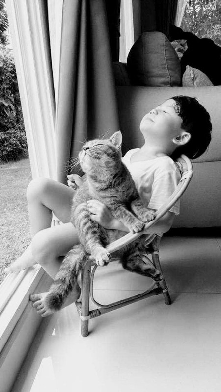 33ee28305530121831ffad41a6bef5f6