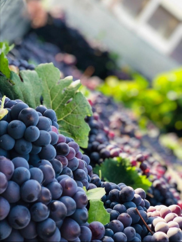 FA4A6324-9F47-481A-9B94-779AD22BE252