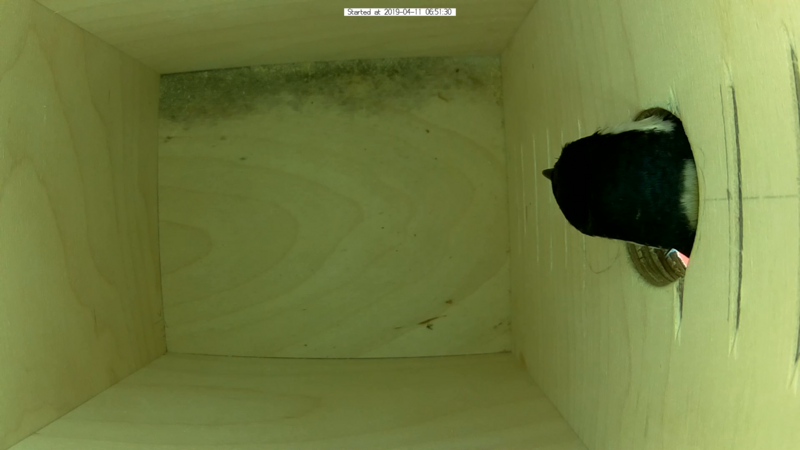 Untitled Project (Time 0_00_23;14)