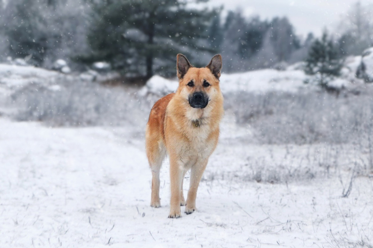 3C881B30-4D23-470D-8E38-F73458200A74