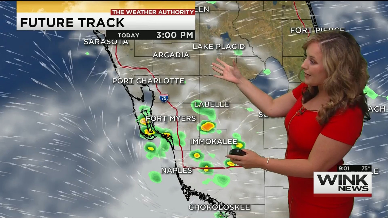 23 May - 14.00.00 - WINK News @ 9 00AM..ts_snapshot_00.06.07_[2020.05.23_17.11.54]
