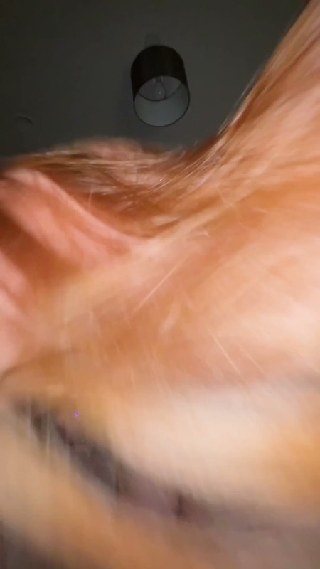 IMG 20260223 074616 442