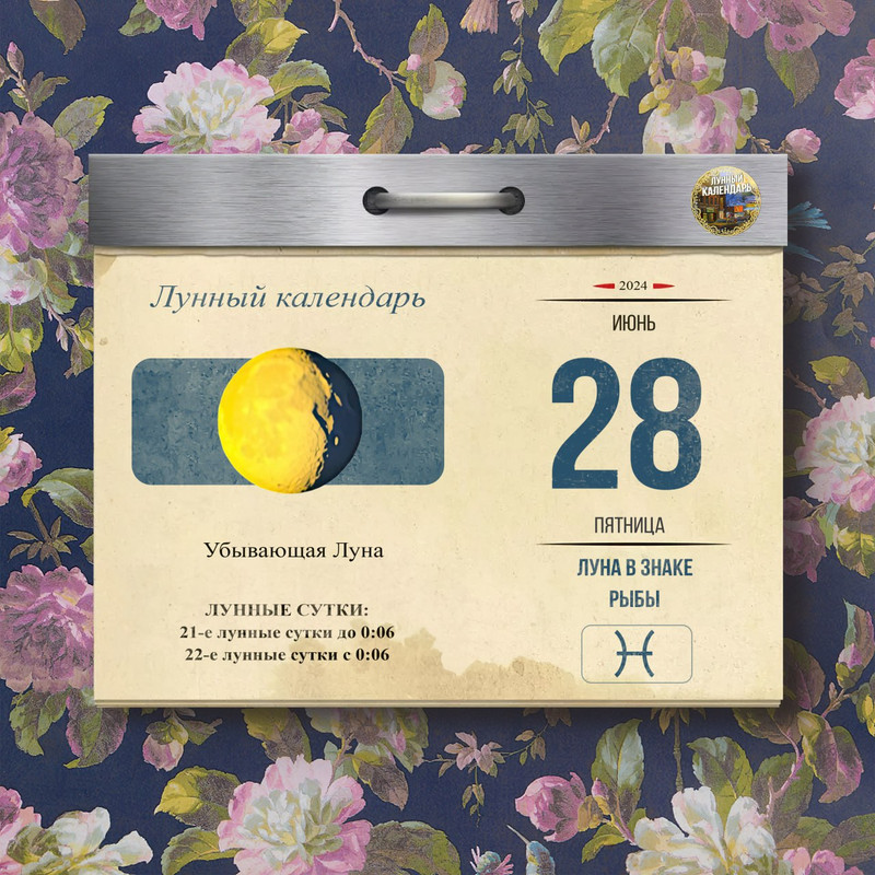 [Изображение: photo-2024-06-23-16-35-19.jpg]
