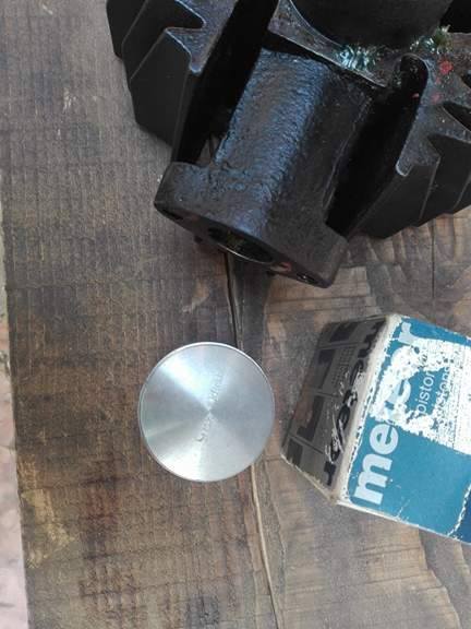 18143098_10208928192581428_926339168_n