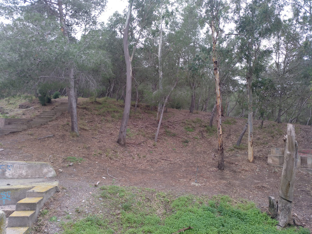 ASNOVESTRE ASNO BEJAR (7)