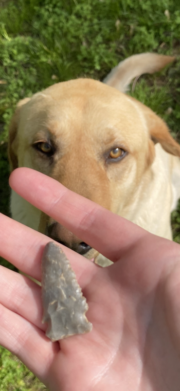 F17E8DE8-E849-432F-A148-C72D8C91E005