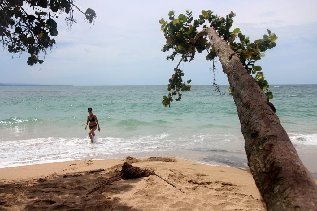 DIA 6: REFUGIO NACIONAL GANDOCA-MANZANILLO - DE TORTUGAS Y PEREZOSOS. COSTA RICA 2019 (17)